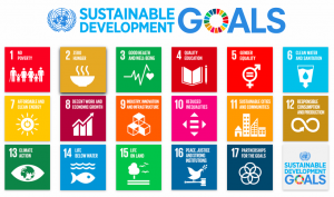 The Importance of Sustainable Development Goals (SDGs) in Education: A Case Study of Eternal University